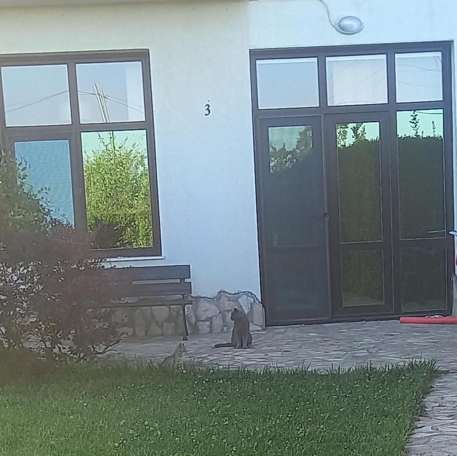Villa Ketli Apartment Bliznatsi Esterno foto